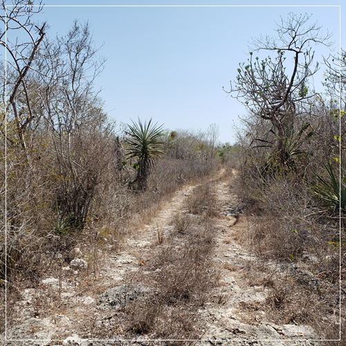 asesoria de impacto ambiental